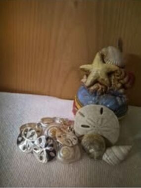 Vintage Coastal Treasure Set: Sand Dollar Charm Bracelet sz 6.5 & Hinged Trinket